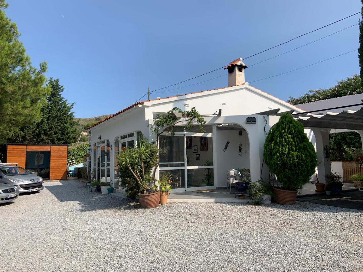 Casa Vista Maroma Guest House 康佩塔 外观 照片